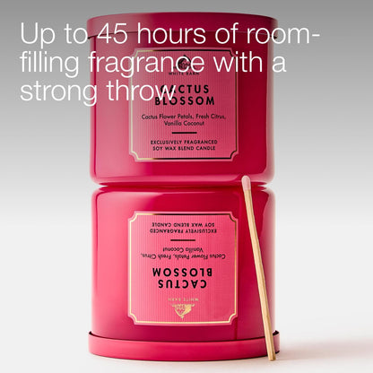 Bath & Body Works Cactus Blossom 3-Wick Candle - Scented Candle for At-Home Use - Long-Lasting, Room-Filling Fragrance - High Fragrance Oil Concentration - Soy Wax Blend - 2-Pack