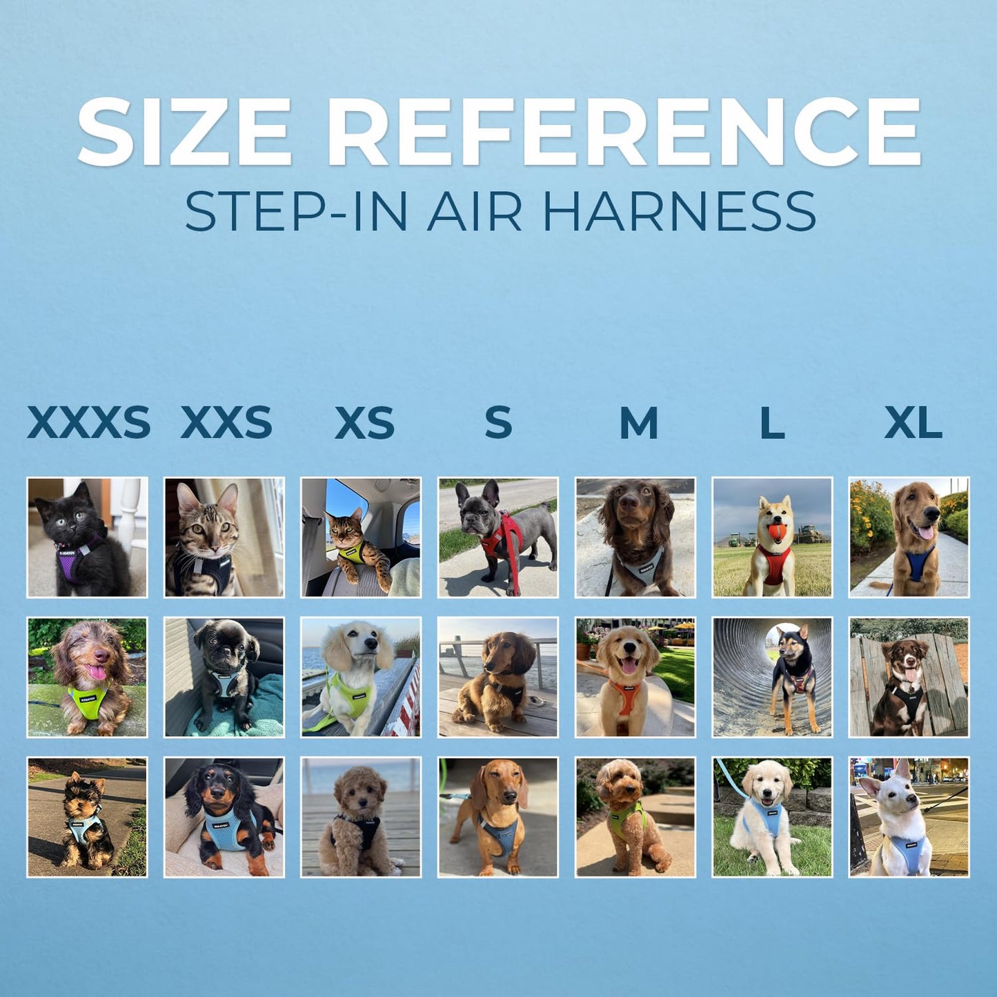Best Pet Supplies - All Weather Mesh, Reflective, No Pull Harness for Small, Medium Dogs, Cats - Secure with Hook & Loop Fastener, Buckle, Double D-Rings - Black/Blue Trim, M