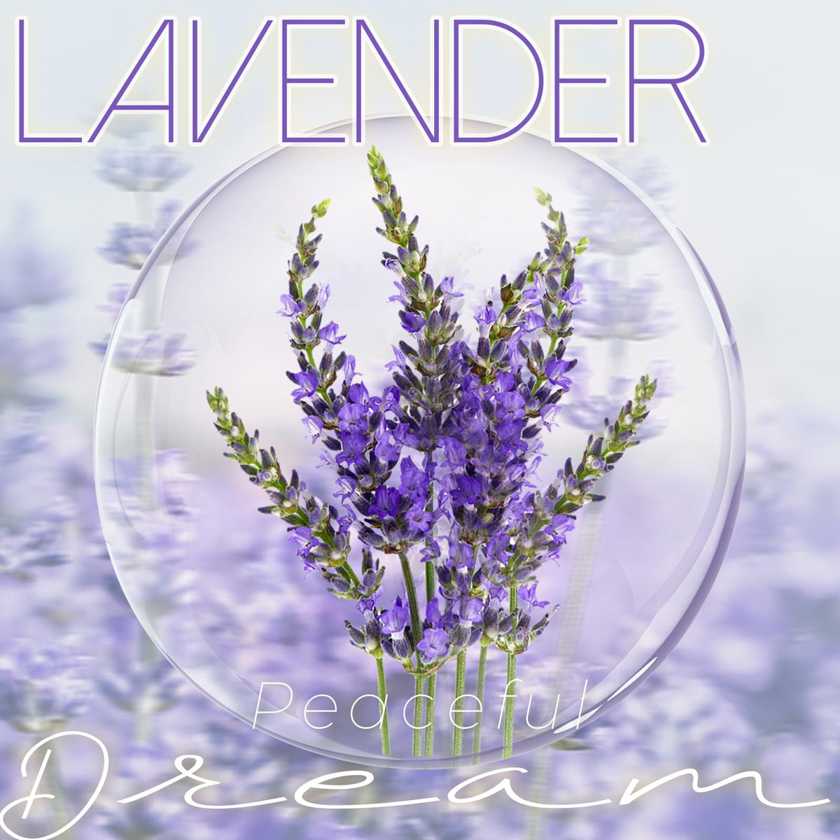 DARJEN Lavender Candles for Home- 5.3oz 35H Natural Soy Wax Aromatherapy Jar Candle with Strong Scent, Decorative Aesthetic Candles for Relax, Bedside, Laundry Room, Luxury Gift for Women