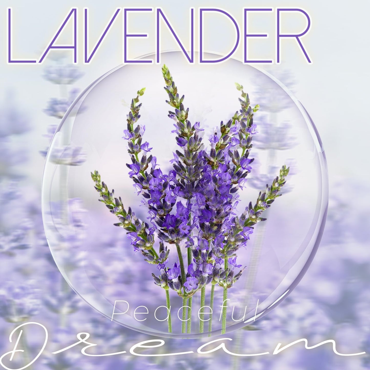 DARJEN Lavender Candles for Home- 10oz 68H Natural Soy Wax Aromatherapy Jar Candle with Strong Scent, Decorative Aesthetic Candles for Relax, Bedside, Laundry Room, Luxury Gift for Women