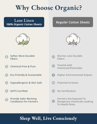 LANE LINEN 100% Organic Cotton Queen Sheet Set - Soft & Breathable Percale Weave, Deep Pocket, Hotel-Quality - Mineral Color