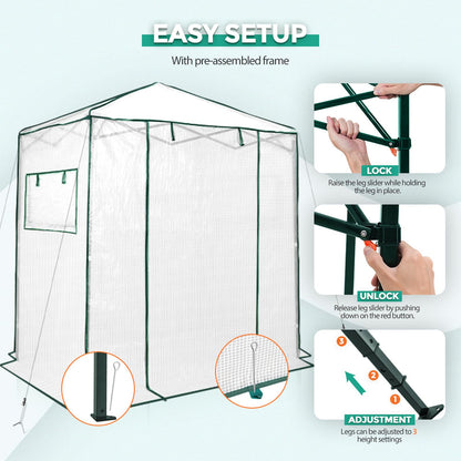 EAGLE PEAK 6x4 Portable Walk in Greenhouse, Pop Up Indoor Outdoor Greenhouse, Green House Kit with Zippered Roll-Up Doors and Windows, PE Cover, Clear/White
