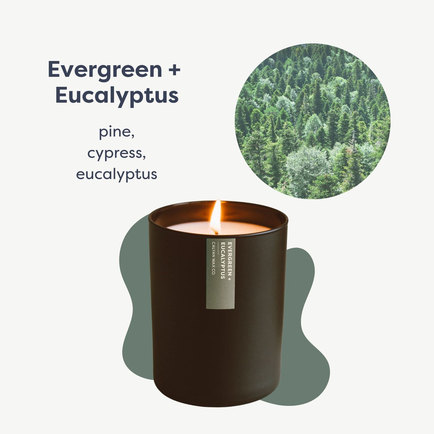 Calyan Wax Co. Evergreen & Eucalyptus Scented Candle - 75 Hour Burn - Luxury Clean Soy Wax Candles - Long Lasting Black Tumbler Jar Candle for Home - 10.2oz