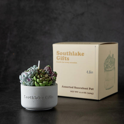 Assorted Succulent Pot Scented Vegetable Wax Candle for Spa Home Decoration Wedding Gift