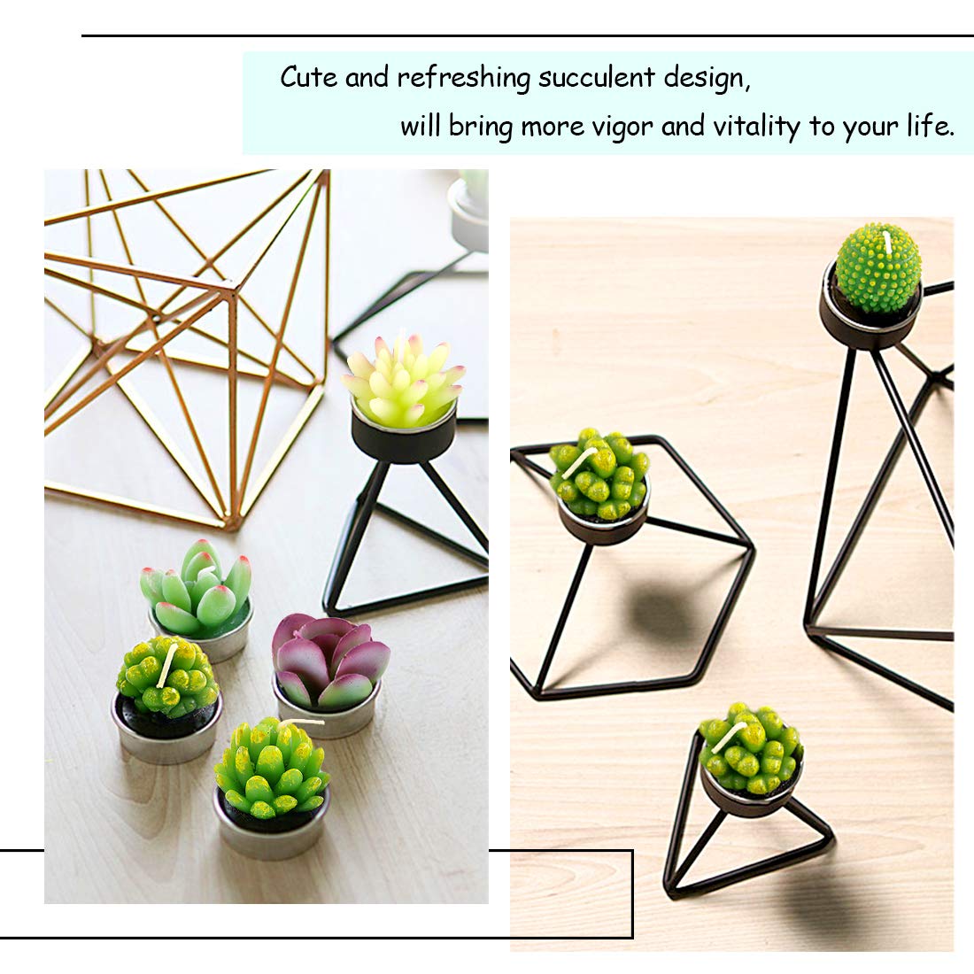 Swpeet 12Pcs Decorative Succulent Cactus Tealight Candles Kit, Cute Smokeless Succulent Plants Perfect for Candles Festival Wedding Props and House-Warming Party (N0.6-Candle)