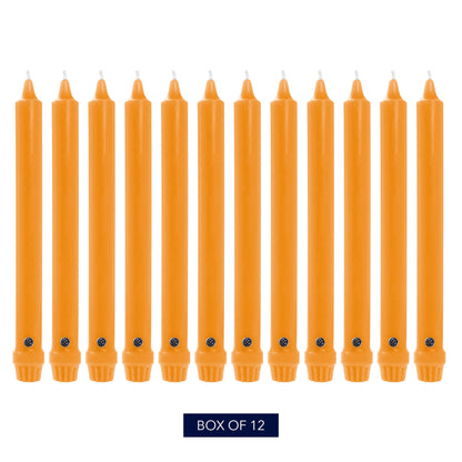 Colonial Candle Unscented Taper Candle, Classic Collection, Caramel, 12 in, Pack of 12 - Up to 10 Hours Burn