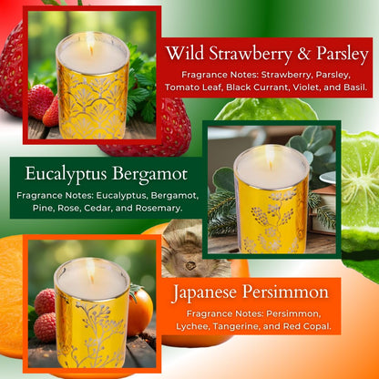 Aromatherapy Candle Gift Set of 3 Scented Candles | Strawberry Parsley, Persimmon, Eucalyptus Bergamot Soy Candles Set, Gold Candle Gifts, Relaxing Aromatherapy Candles Gift Set for Women and Men