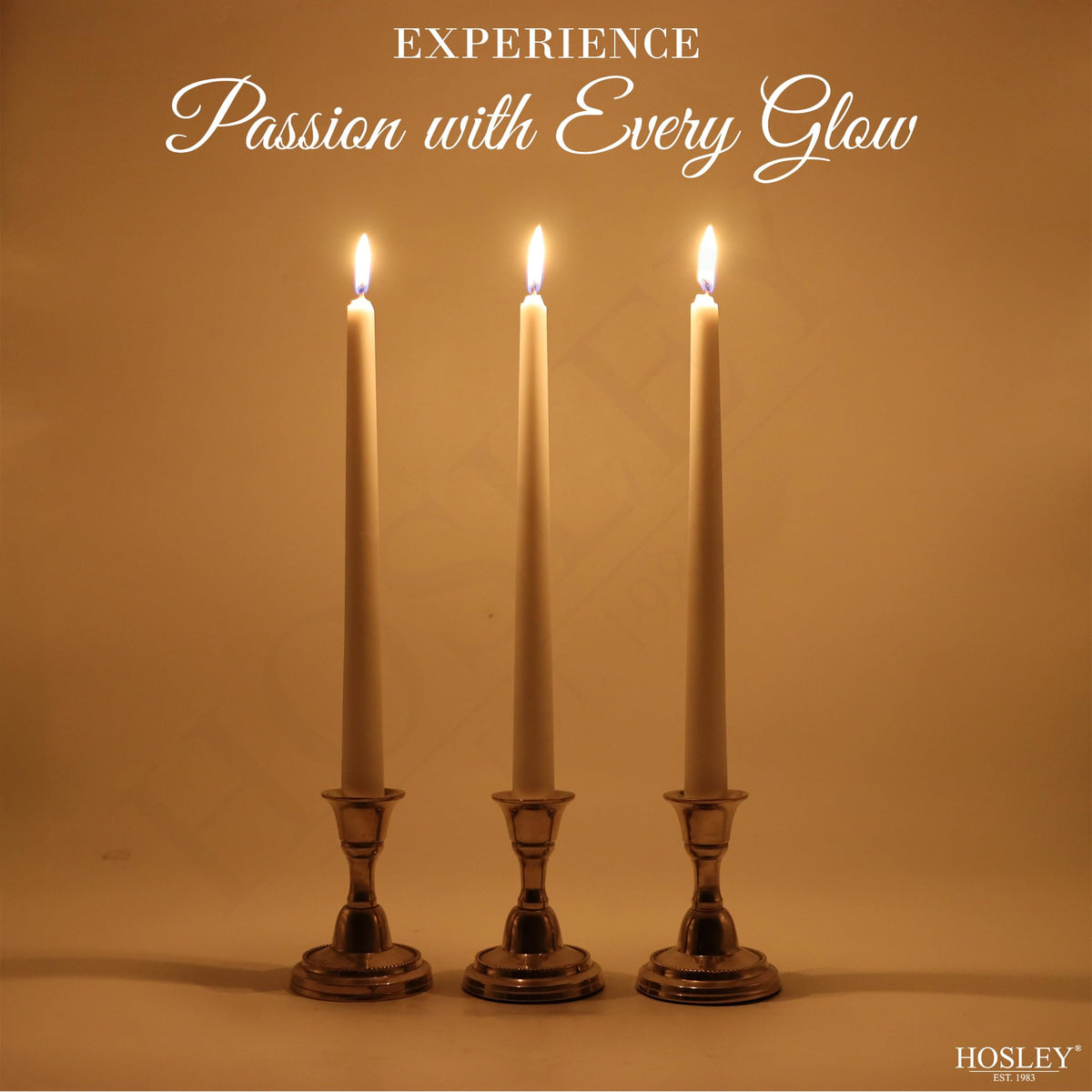 Hosley 12-Pack Unscented 10 Inch White Taper Candles, Premium Quality Smokeless, Dripless Candle Sticks for Home Décor, Restaurant, Church, Weddings & Parties