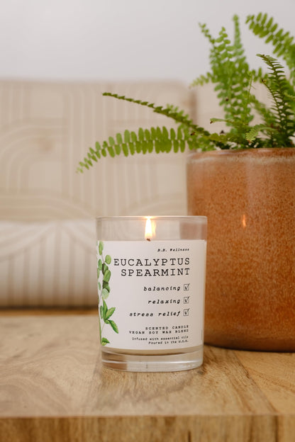 LEOBEN CO – Eucalyptus Spearmint Scented Candle – 9oz, B.B. Wellness Collection Design – 50 hr Burn Time – Poured in California Using Vegan Soy Wax and Essential Oils – Made in Small Batches