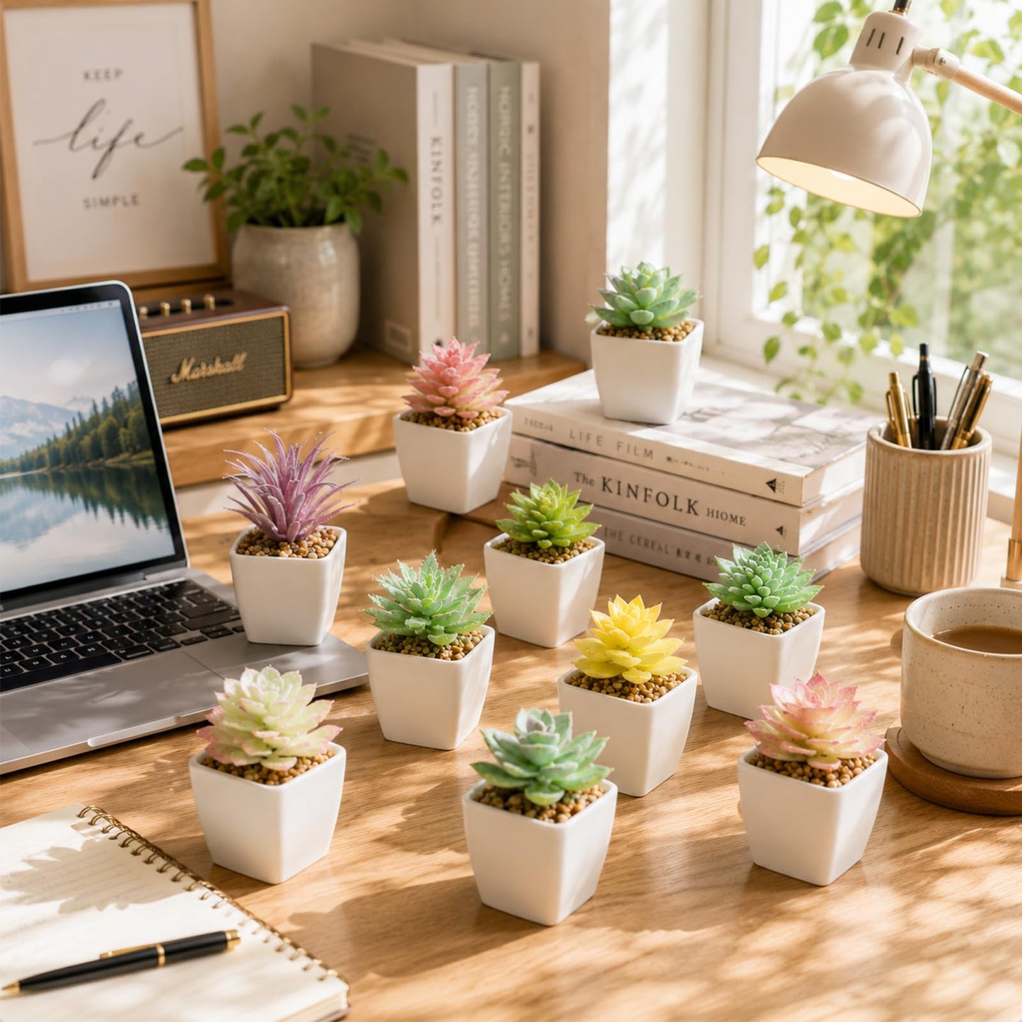Tiita 24 Set Artificial Faux Succulents in Pots Fake Plants Plastic Arrangement Planter Small Mini Tiny Decoration for Home Office Desk Window Sill Bathroom Bedroom Outdoor Indoor
