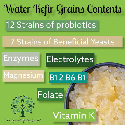 The Spirit Of The Forest Live DORMANT ENDLESS Fresh Water Kefir Grains DIY Fermented Probiotic Drink Enhances Gut Health Kefir Starter Makes Limitless Supply Non-GMO Dairy Free Vegan Sparkling Water