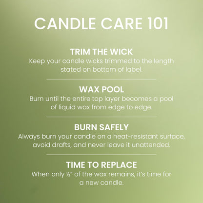 Yankee Candle Green Apple Sorbet Scented Candle, 22oz Large Jar with up to 150 Hour Burn Time, Giftable