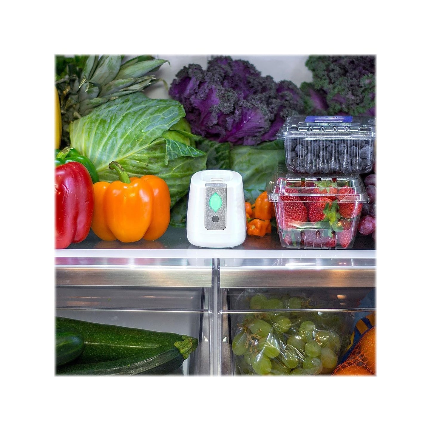 Greentech Environmental pureAir FRIDGE - Refrigerator Odor Eliminator and Air Freshener - Extends Life of Food - Home Essentials For Mini, Small, and Large Fridges