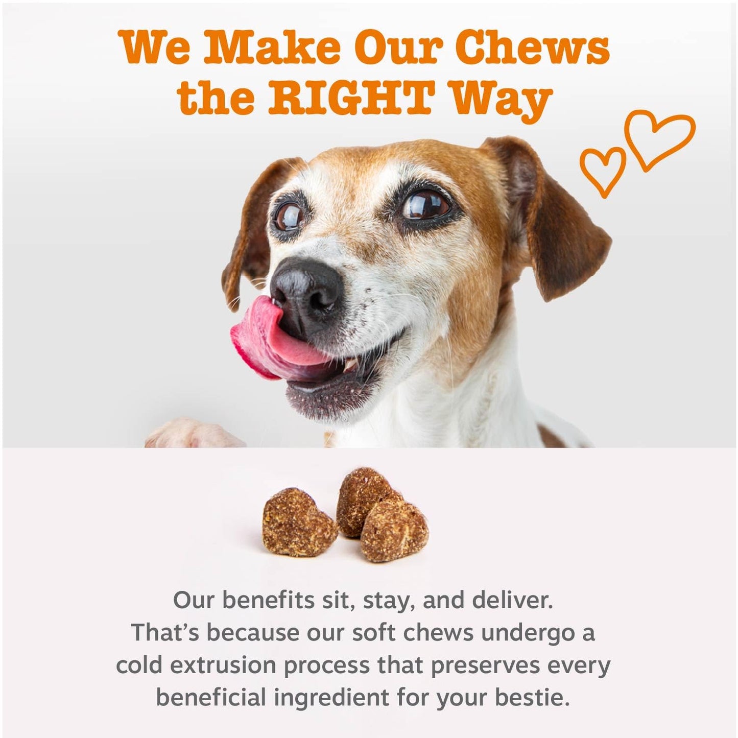 Zesty Paws Senior Dog Multivitamin Treats - Glucosamine for Dogs + Digestive Enzymes & Probiotics - Grain Free Dog Vitamins and Supplements for Skin & Coat + Immune Health Beef - Advanced - 90ct