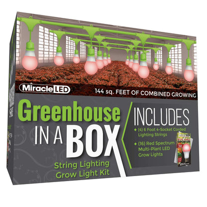 Miracle LED Greenhouse in a Box Grow Kit for Indoor Plants - Includes 4 Red Spectrum Flowering Multi-Plant Wide Beam Grow Light Bulbs & One 4-Socket Corded Light Fixture (4-Pack - 4 Strings, 16 Bulb)