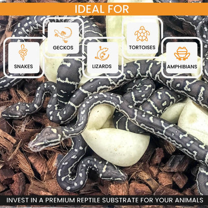 ReptiChip Reptile Bedding Loose Coconut Chip 36 Quart 4 Pack Coco Husk Substrate Mulch for Snake Habitat, Ball Python Terrarium, Turtle Tanks, Tortoise Enclosure