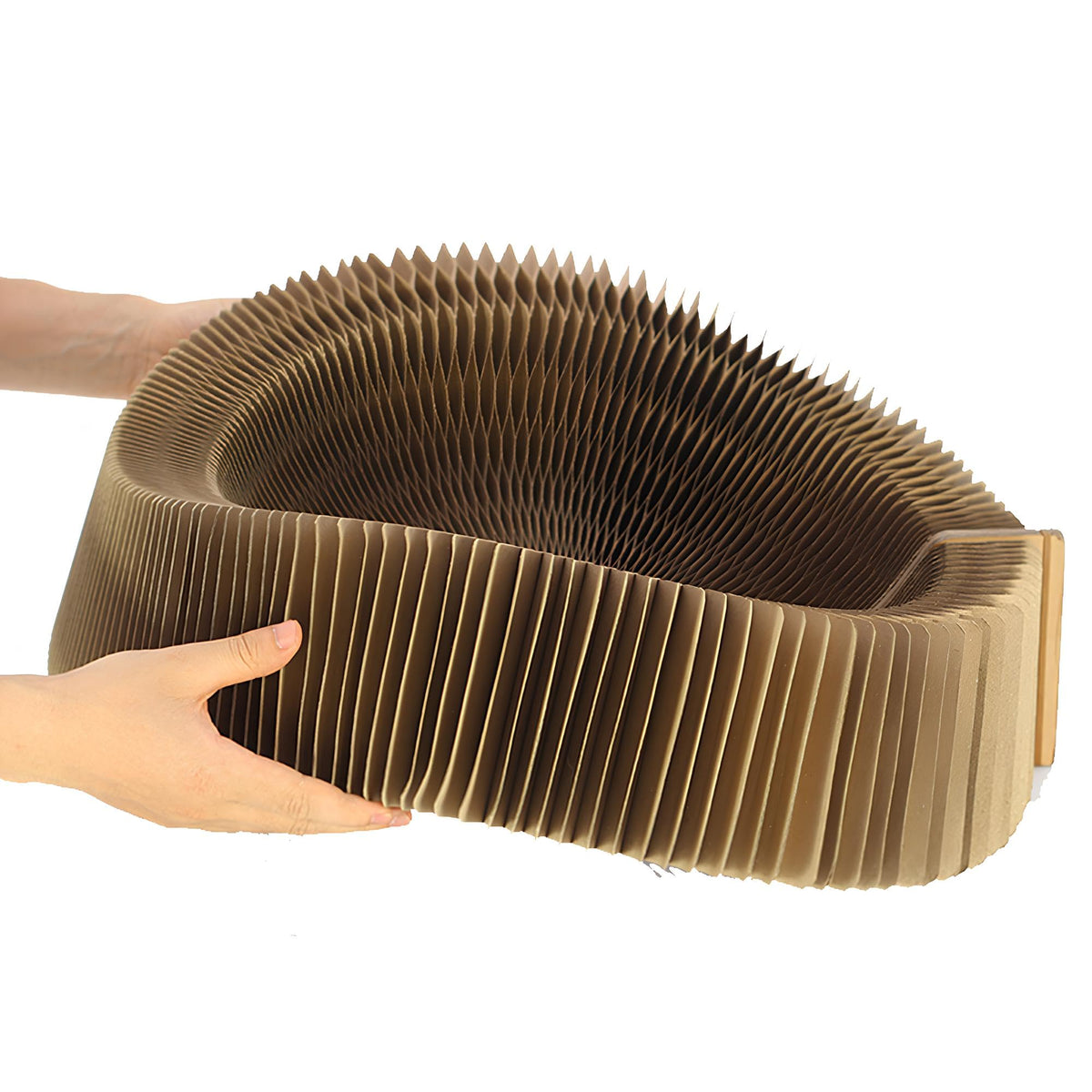 BobbyPet Cat Scratcher Lounge Bed - Collapsible Round Shape for Big cat