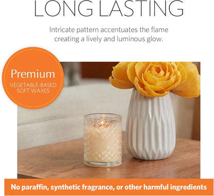 Bitter Orange Holiday Scented Candle, 7oz