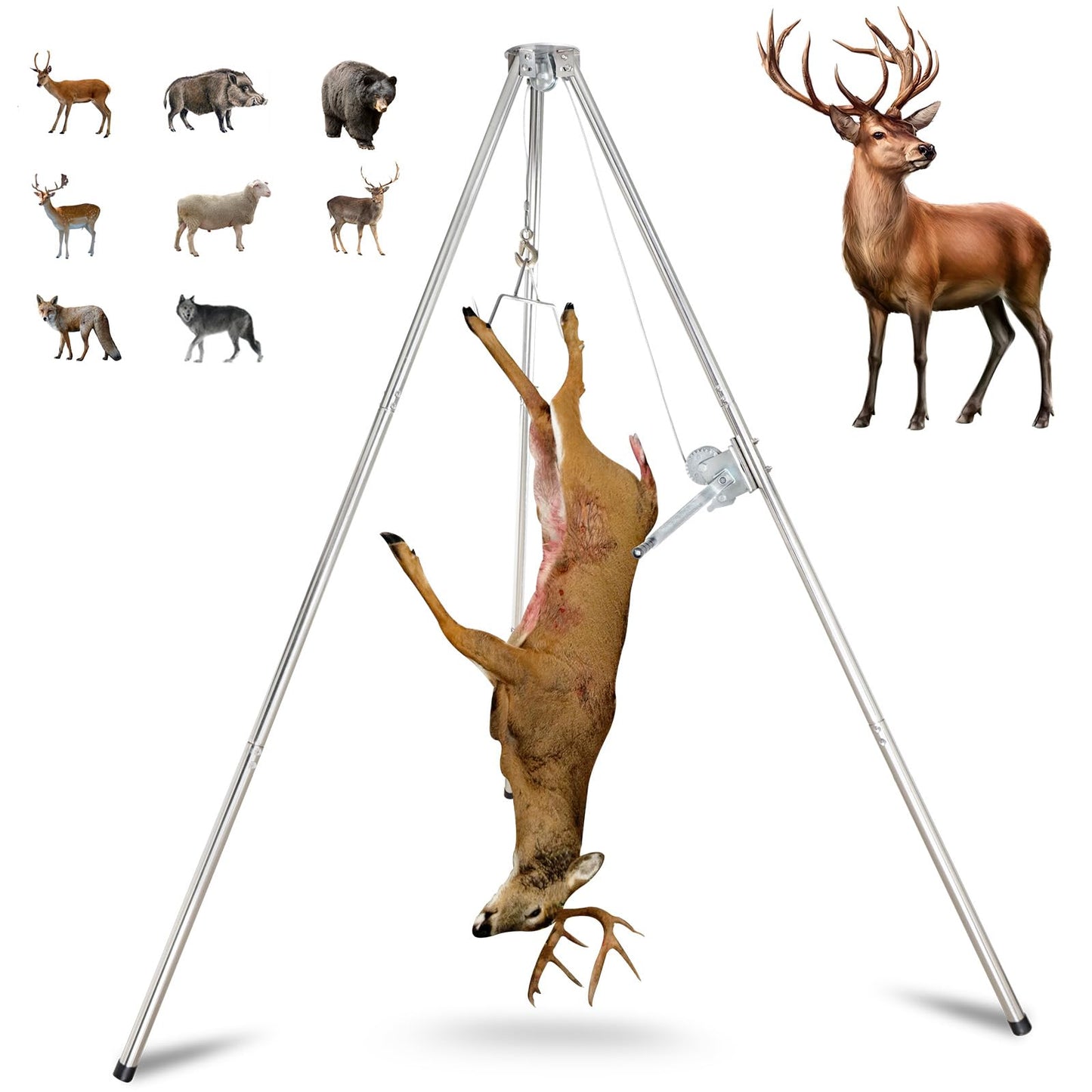 Deer Game Hoist Tripod Hanger Rack with Gambrel and Manual Winch 500 lb Capacity for Hunting, Deer Hanger for Skinning, Heavy Duty Game Hoist for Elk, Bear, Hogs, Goat, Shark, Tuna - Stainless Steel