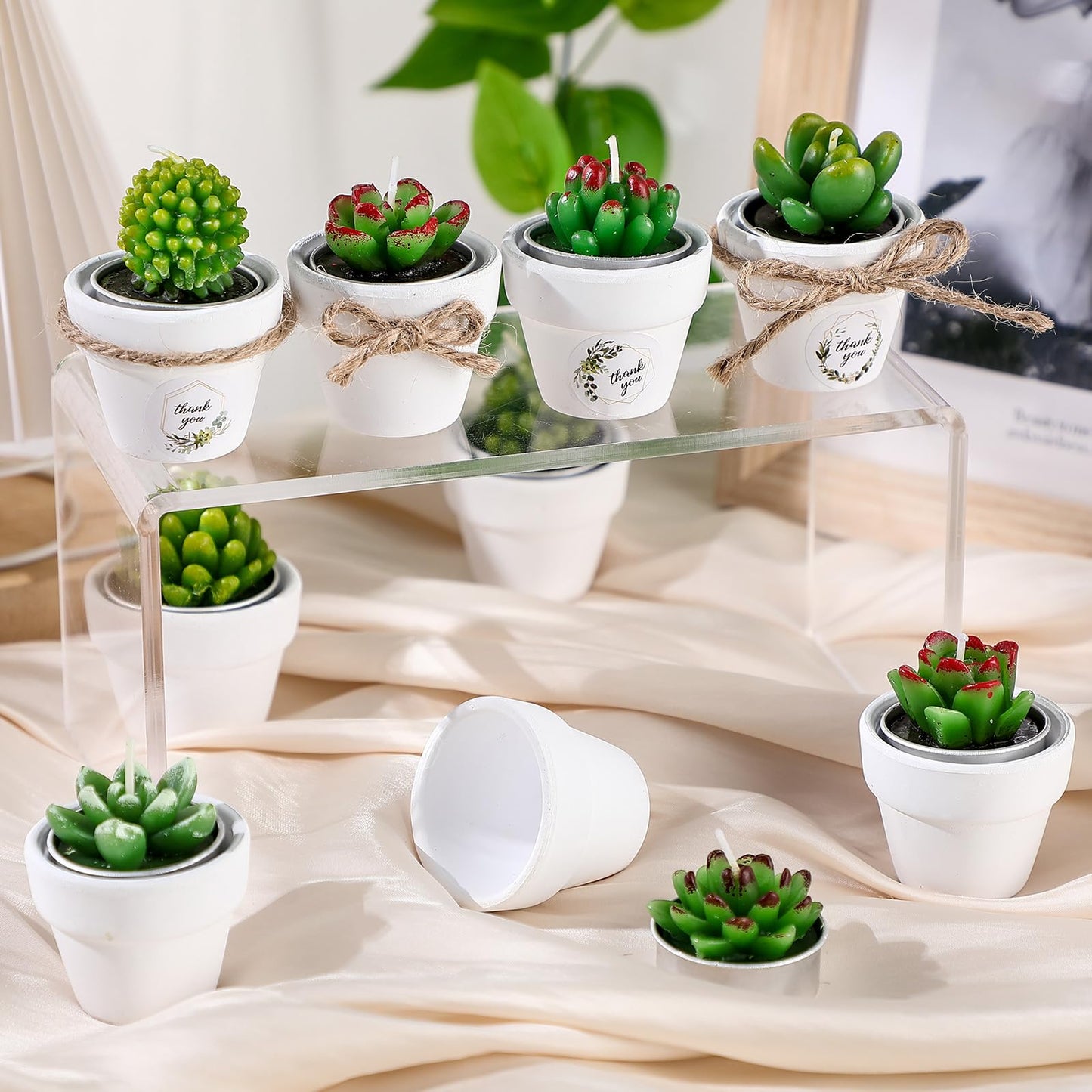 MTLEE Cactus Candle Planter, 18 Pcs Paraffin Wax Succulent Tealight Candles with Mini White Terracotta Clay Pots, for Party Favor, Fiesta, Birthday, Wedding Decor, Indoor, 1.57x1.57 inches
