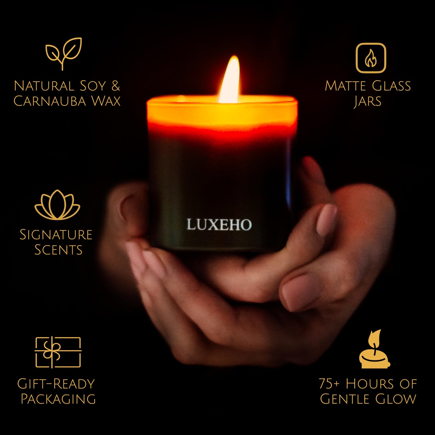 Luxury Scented Candle Set 3-Pack | Home Decor & Giftable Soy Candles | Champagne, Sandalwood & Amber | 75h Burn Time | Cotton Wick | Elegant Decorative Jars