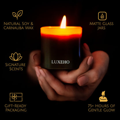 Luxury Scented Candle Set 3-Pack | Home Decor & Giftable Soy Candles | Champagne, Sandalwood & Amber | 75h Burn Time | Cotton Wick | Elegant Decorative Jars