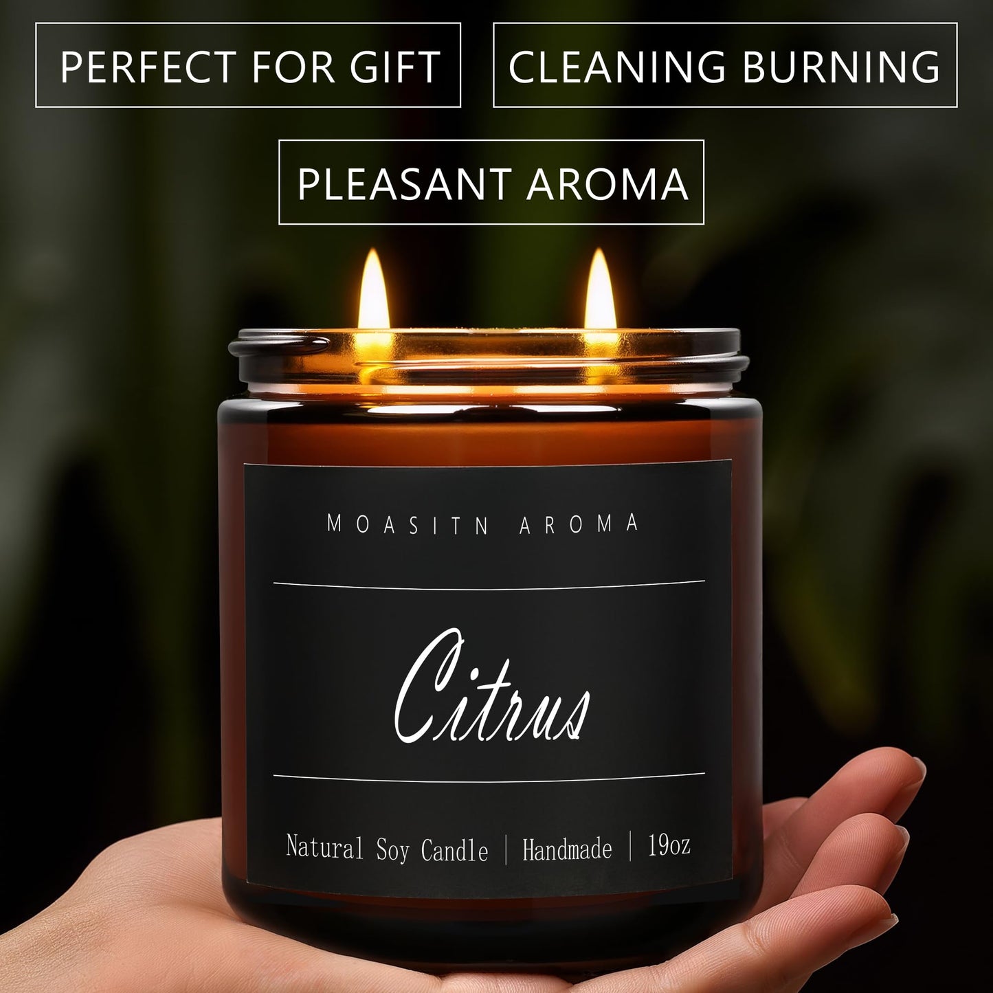 MOASITN Citrus Large Heavenly Scented Candles for Home|19oz 100h Long Lasting Clean Burn|Natural Soy Aromatherapy Candle|2 Wick Jar Candle for Women,Men as Relaxing,Birthday,Housewarming Gifts