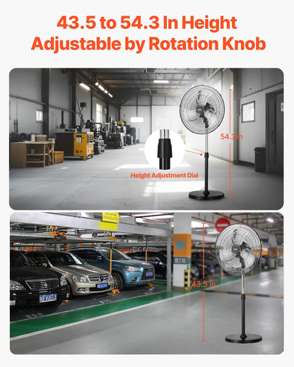 VEVOR Industrial Pedestal Fan, 20 Inch 90-Degree Oscillating Fan, Height Adjustable Standing Fans with 3 Adjustable Speeds, High Power Floor Fans for Warehouse,Garage,Commercial, Black