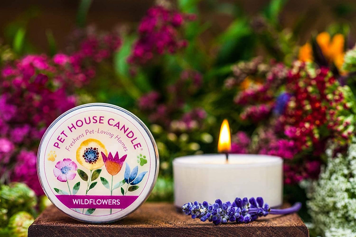 Pet House Mini Candles for Pet Odor Made with Natural Soy Wax, Plant Based, Dog and Cat Friendly Scented Candles, Orange Spice Pack of 3