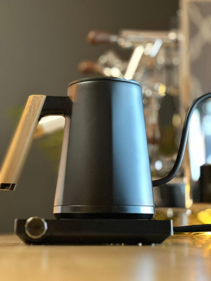 Turin Electric Pour Over Kettle | 600ml Stainless Steel Gooseneck Kettle with Precise Temperature Control, Rapid Heating, and Ergonomic Handle