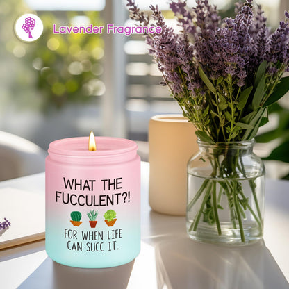 Miracu Succulent Candle, Get Well Presents for Women, Cheer up Idea, Pick Me up, Break up, Plant Lover Gifts for Women, Funny Birthday Mothers Day Cool Gifts for Plant Lovers Mom Lady Friend Wife Her