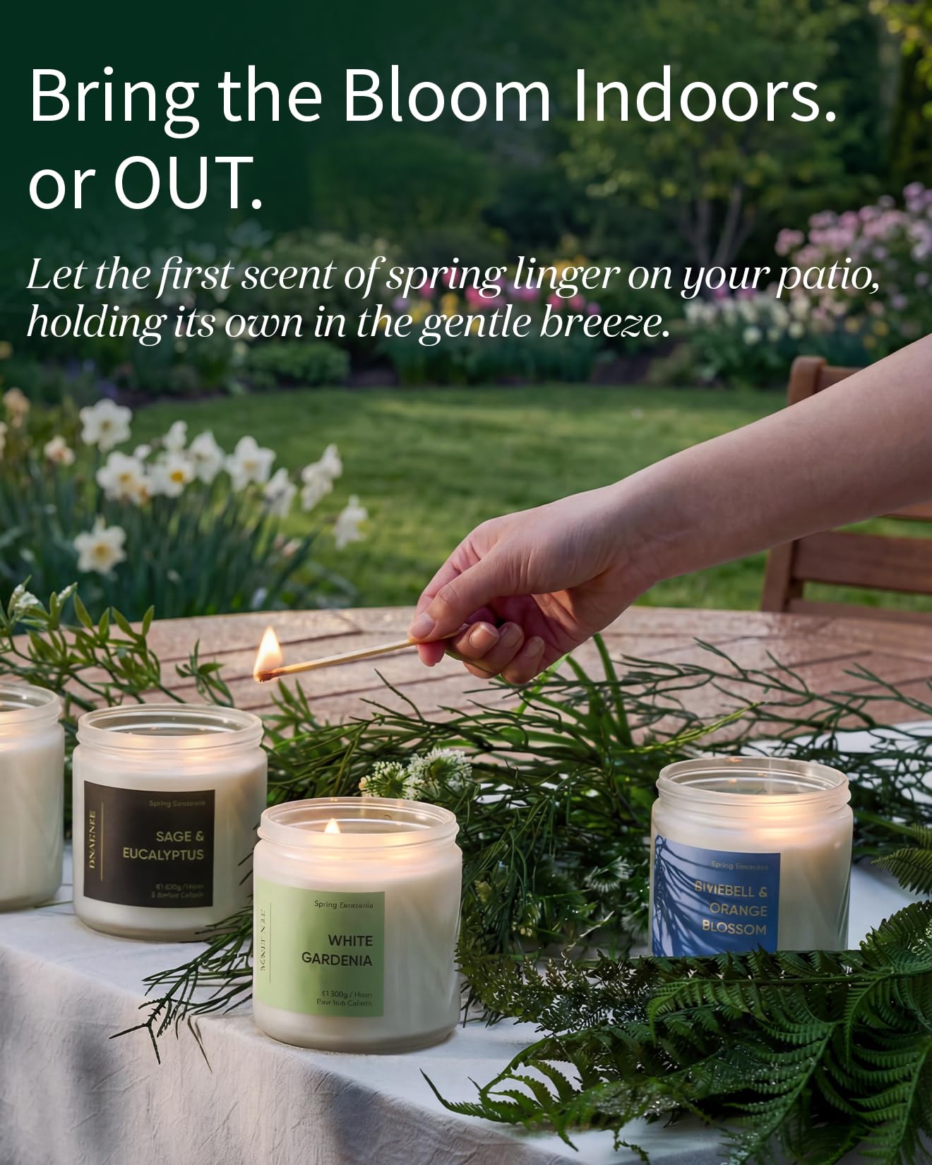 M&SENSE Sage Citrus Candles, 11.6oz Natural Soy Wax, 70 Hours Long Lasting, Non Toxic Clean Burning Candle for Home Scented, Fresh Smelling Aromatherapy 2 Wicks Glass Jar for Meditation Relaxation