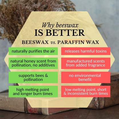 Big Dipper Wax Works 100% Pure Beeswax Pillar Candles (1 Pack) – 3" x 6" Handmade in USA, Long Burning Clean Soot-Free, Natural Honey Aroma, Eco-Friendly Cotton Wick, Home Décor & Meditation