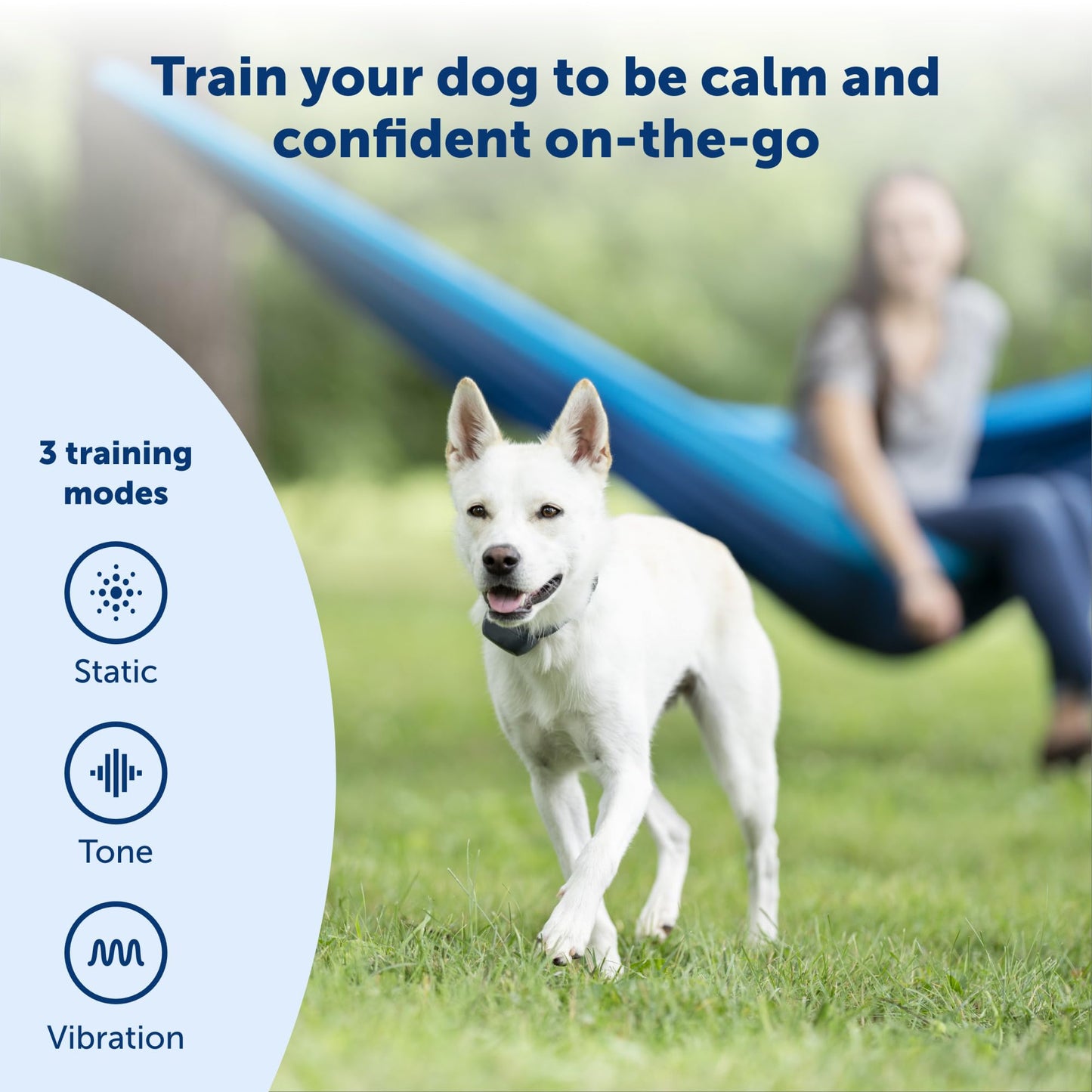 PetSafe 300 Yard Remote Training Collar – Choose from Tone, Vibration, or 15 Levels of Static Stimulation – Medium Range Option for Training Off Leash Dogs – Waterproof and Durable – Rechargeable