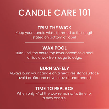 Yankee Candle Studio Medium Candle, Cliffside Sunrise, 10 oz, 4-Pack