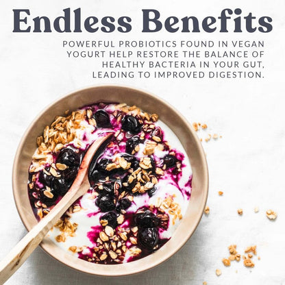 Cultures for Health Vegan Yogurt Starter Culture | 4 Direct-Set Packets | DIY Dairy-Free Yogurt from Plant Milks | Probiotic for Gut Health