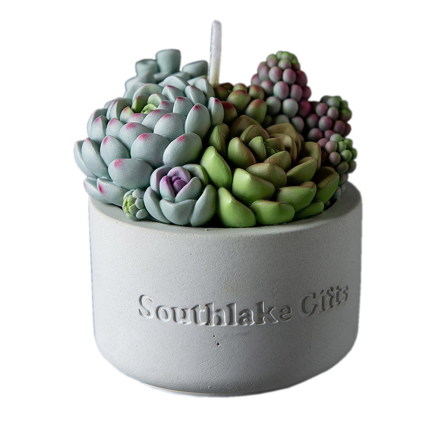 Assorted Succulent Pot Scented Vegetable Wax Candle for Spa Home Decoration Wedding Gift