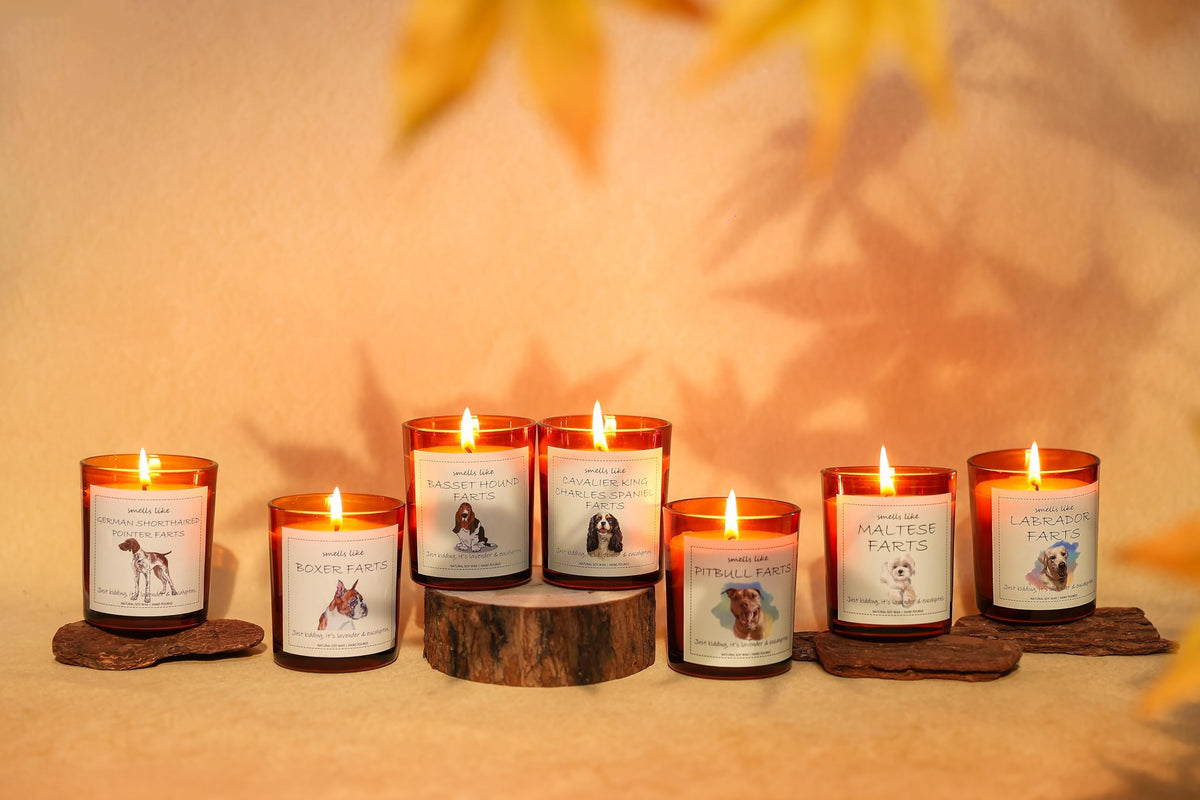 Boxer Dog Gifts & Decor, Boxer Dog Gifts for Women, Smells Like Boxer Farts Candle - Lavender & Eucalyptus, Crafted by Natural Soy Wax & Natural Essential Oils