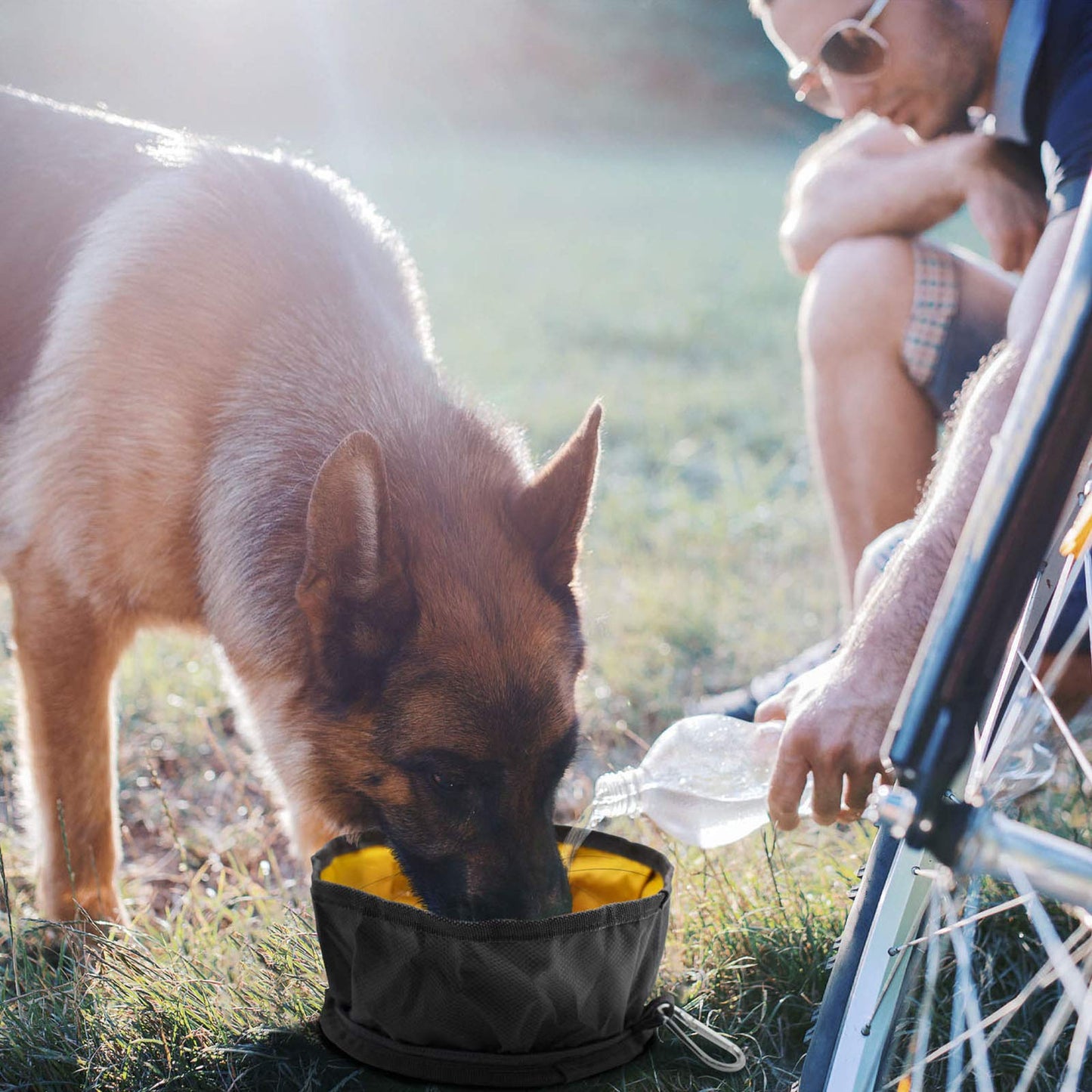 LumoLeaf Collapsible Dog Travel Bowl, 8 Cups Large Lightweight Foldable Bowl, Water and Food Bowls for Pets Dogs Cats with Zipper