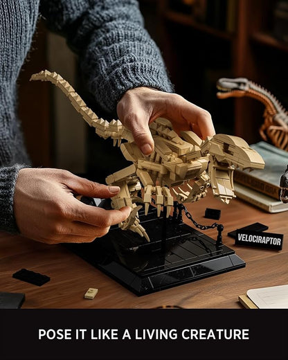 Nifeliz Velociraptor Fossil Model Set Dinosaur Skeleton Building Set with Display Base for Adults Collectible Gift for Dinosaur Enthusiasts (498 PCS NF10357)