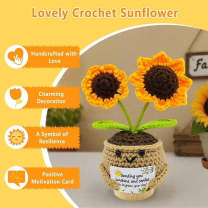 Get Well Soon Gift Baskets for Women,Unique Sunshine Box Care Package,Inspirational Sunflower Mothers Day Gift,Healing Recovery Gifts for Mom, Sister,Wife, Daughter, Best Friend