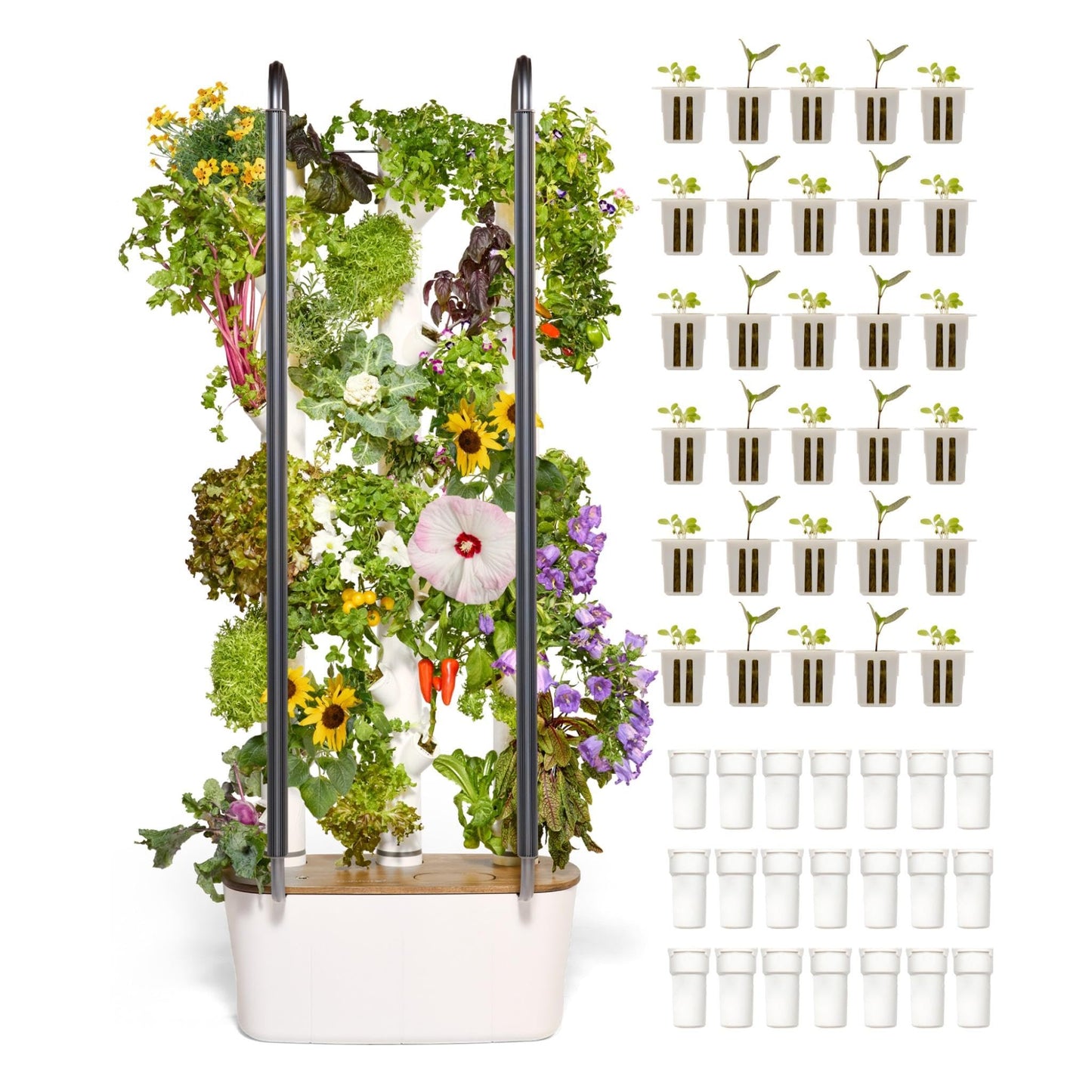 Gardyn Home 4 Vertical Hydroponics Growing System Kit - 30 Non-GMO Plants, Herbs, Vegetables - Smart Garden Hydroponic Herb Garden Planter Indoor Kit - Indoor Gardening System w/LED Grow Lights