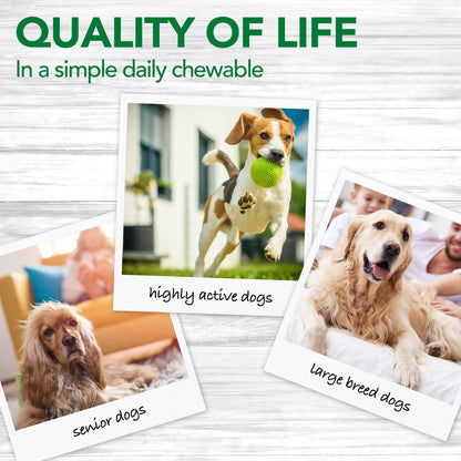 Vet’s Best Aches + Pains Dog Supplement, Vet Formulated for Dog Occasional Discomfort and Hip and Joint Support, 50 Chewable Tablets