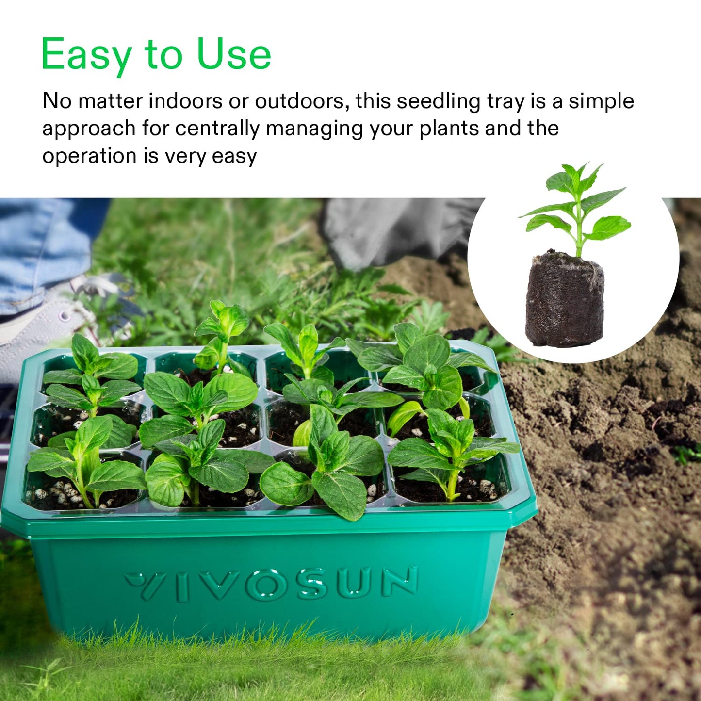 VIVOSUN 6-Pack Seed Starter Trays with 10"x20.75" Seedling Heat Mat, Self-Adjusting Dual Digital Display Temperature Controller, 72-Cell Seed Starter Kit with Humidity Dome, Reusable Propagation Trays