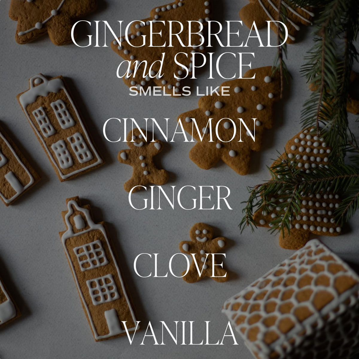 Sweet Water Decor Gingerbread and Spice Soy Candle - Cinnamon, Vanilla, and Gingerbread Scented Candle for Home - Christmas Candle 9oz Clear Jar, 40 Hour Burn Time, Made in the USA