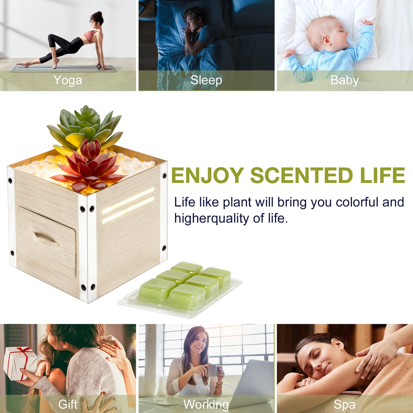 gengxinda GXD Artificial Succulent Plants Wax Melt Warmer, Electric Wax Warmer with Translucent Glass, Flameless Fragrance Warmer for Scented Wax, Home Office Decor & Birthday Gifts for Women