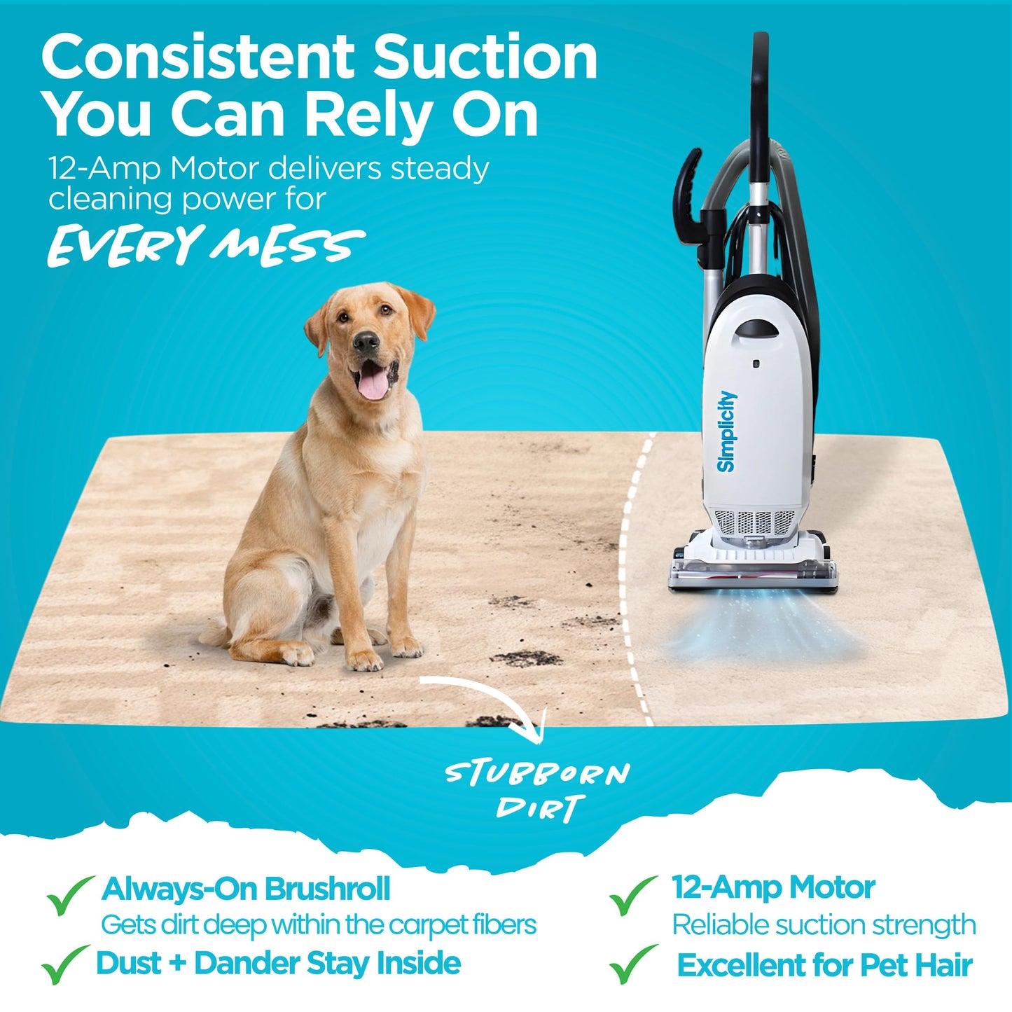 Simplicity Vacuums Allergy Bagged Vacuum Cleaners for Home, Carpet, Rugs, and Hardwood, Multi Surface Upright Vacuum Cleaner with Certified HEPA Vacuum, Pet Vacuum, S20EZM