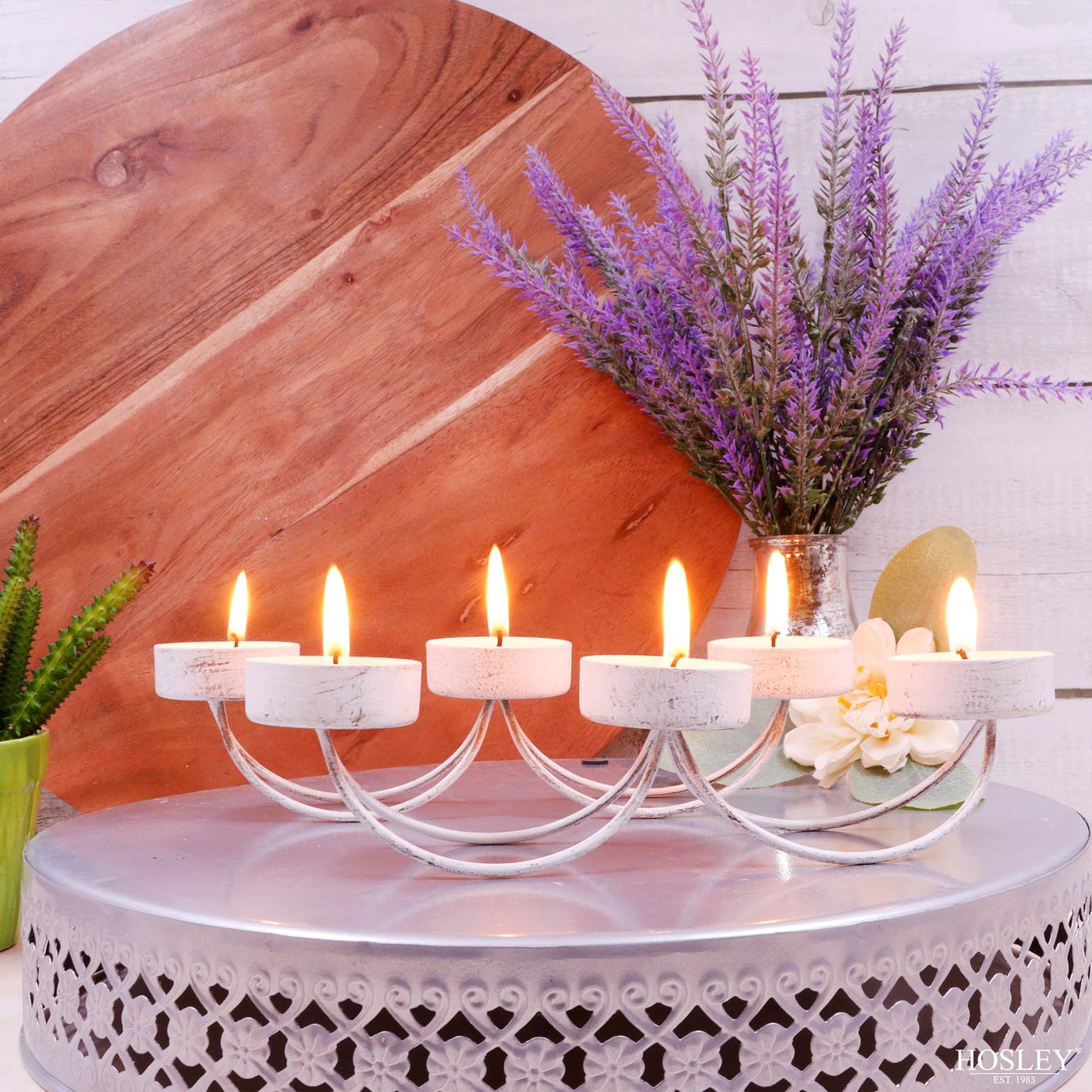 Hosley Bulk Buy Set of 6 Metal Tea Light Candle Holders for Home Decor, Lighting, Wedding, Parties, Gifting, LED Tea Light Gardens