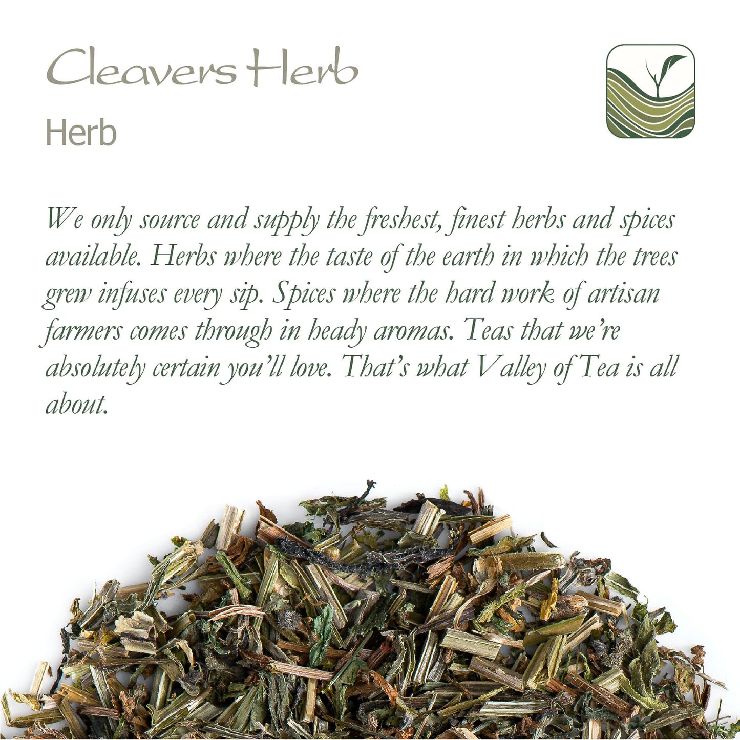 Cleavers Herb Tea Galium Aparine -