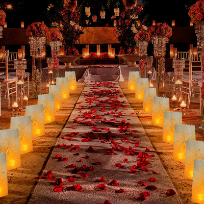 AceList 30 PCS Luminary Bags with 30 PCS Flameless Candles Tea Lights for Wedding, Birthday, Party, Christmas Decorations(Fireworks)